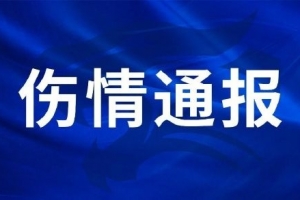 法国直播_法国联赛视频直播_法国队直播免费观看