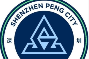 世界杯直播_世界杯免费实时高清直播_世界杯视频在线观看无插件
