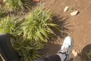 美加墨世界杯直播_世界杯免费直播在线直播_世界杯视频直播高清无插件