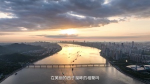 足球直播_足球免费在线高清直播_足球视频在线观看无插件